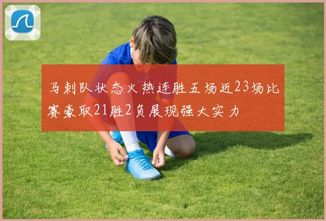 马刺队状态火热连胜五场近23场比赛豪取21胜2负展现强大实力
